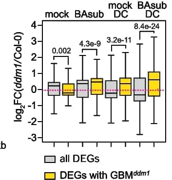 Open access visualization of Box Plot, Gene Expression, DEGs, Gene Body, Promoter