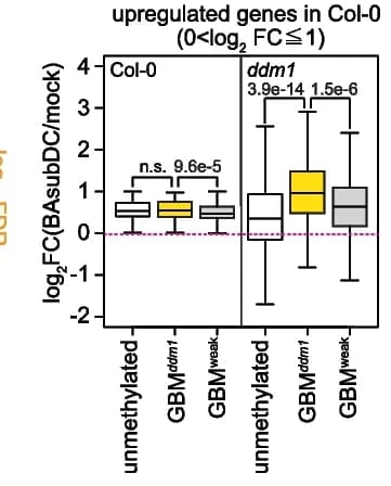 Open access visualization of Box Plot, Gene Expression, Fold Change, Genes, Upregulated
