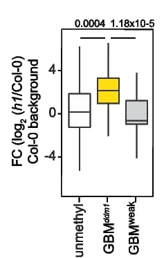 Open access visualization of Box Plot, Gene Expression Fold Change, Differentially Expressed Genes, Unmethylated Genes, Demethylated GBM