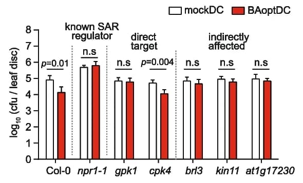 Open access visualization of Bar Plot, Error Bars, Clustered, Bacterial Growth, Mutants