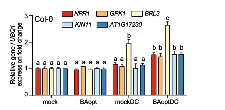 Open access visualization of Bar Plot, Error Bars, Clustered, Gene Expression, Defense Regulators