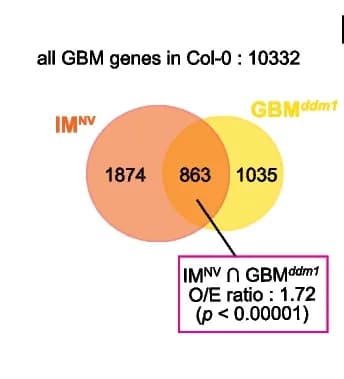 Open access visualization of Venn Diagram, GBM Genes, DNA Methylation, Natural Population