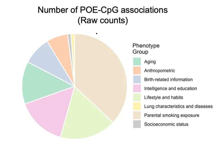 Open access visualization of Pie Chart, Raw Counts, POE-CpGs, Phenotype, Phenotypic Category