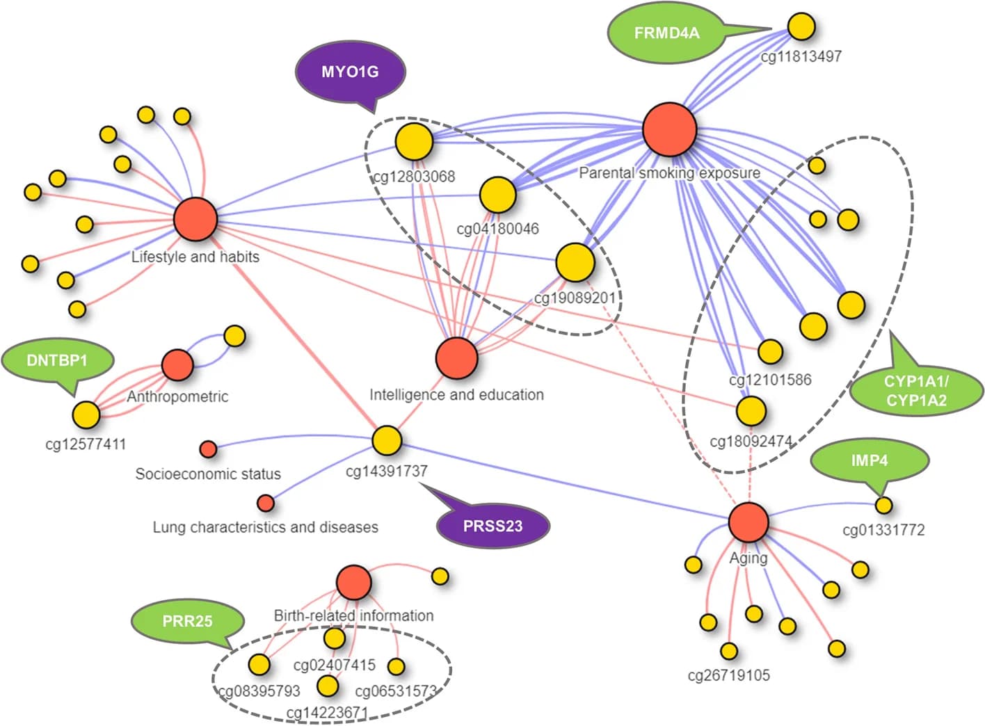 Open access visualization of Network, Pathway, POE-CpGs, Phenotypes, Gene