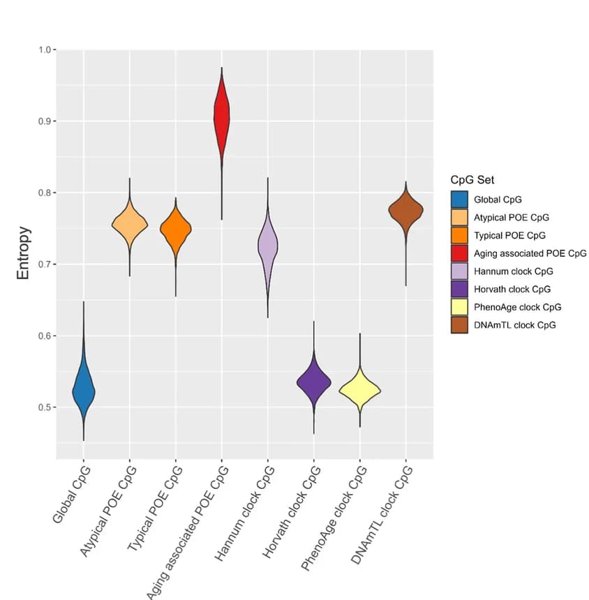 Open access visualization of Violin Plot, Shannon Entropy, CpGs, Distributions