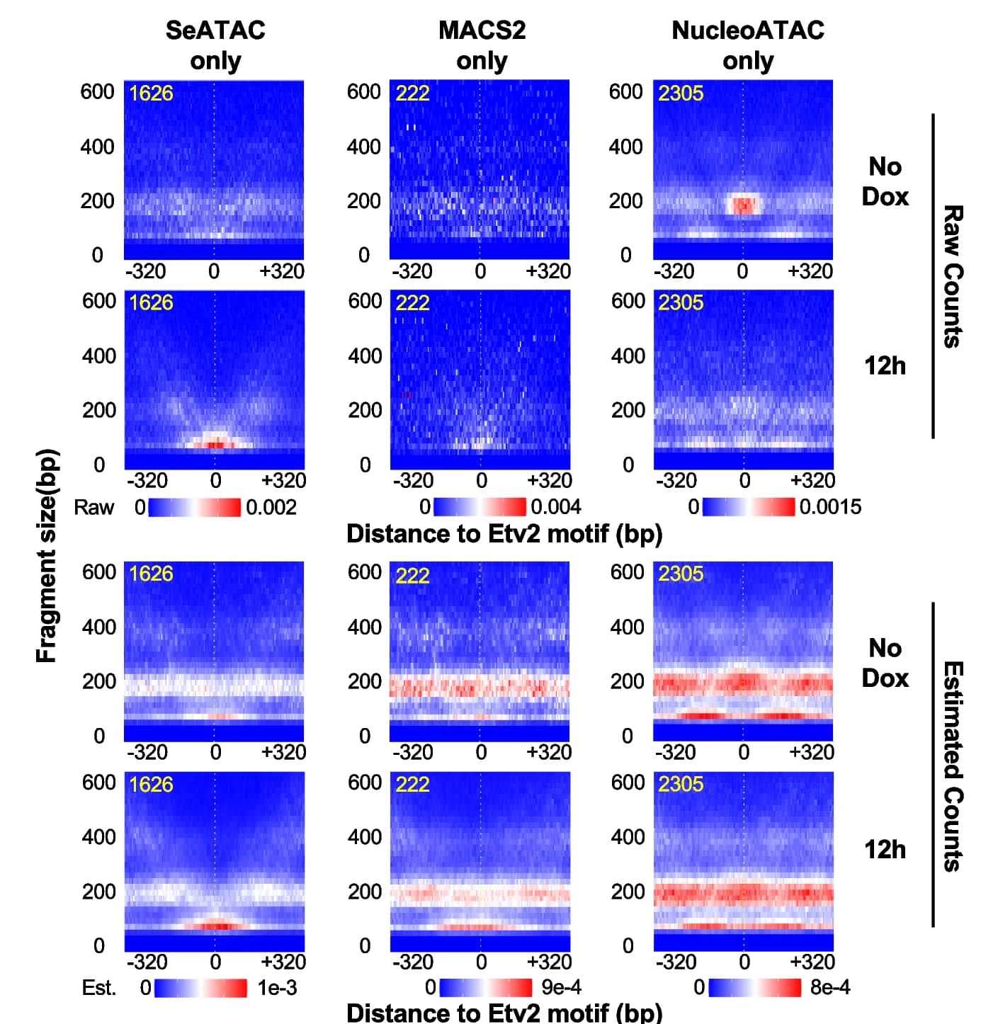 Open access visualization of Heatmap, V-plot, Etv2 Motifs, Chromatin Accessibility, SeATAC