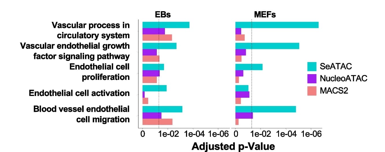 Open access visualization of Bar Plot, Clustered, Barplots, Gene Ontology, GO Terms