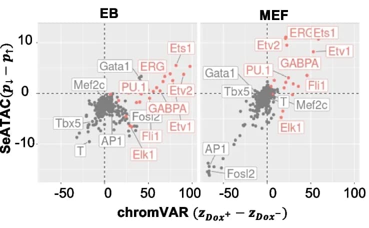 Open access visualization of Scatter Plot, Volcano Plot, Chromatin Accessibility, TFBS, MEF Reprogramming