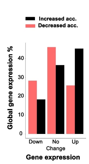 Open access visualization of Bar Plot, Clustered, Genes, Down-regulated, Up-regulated