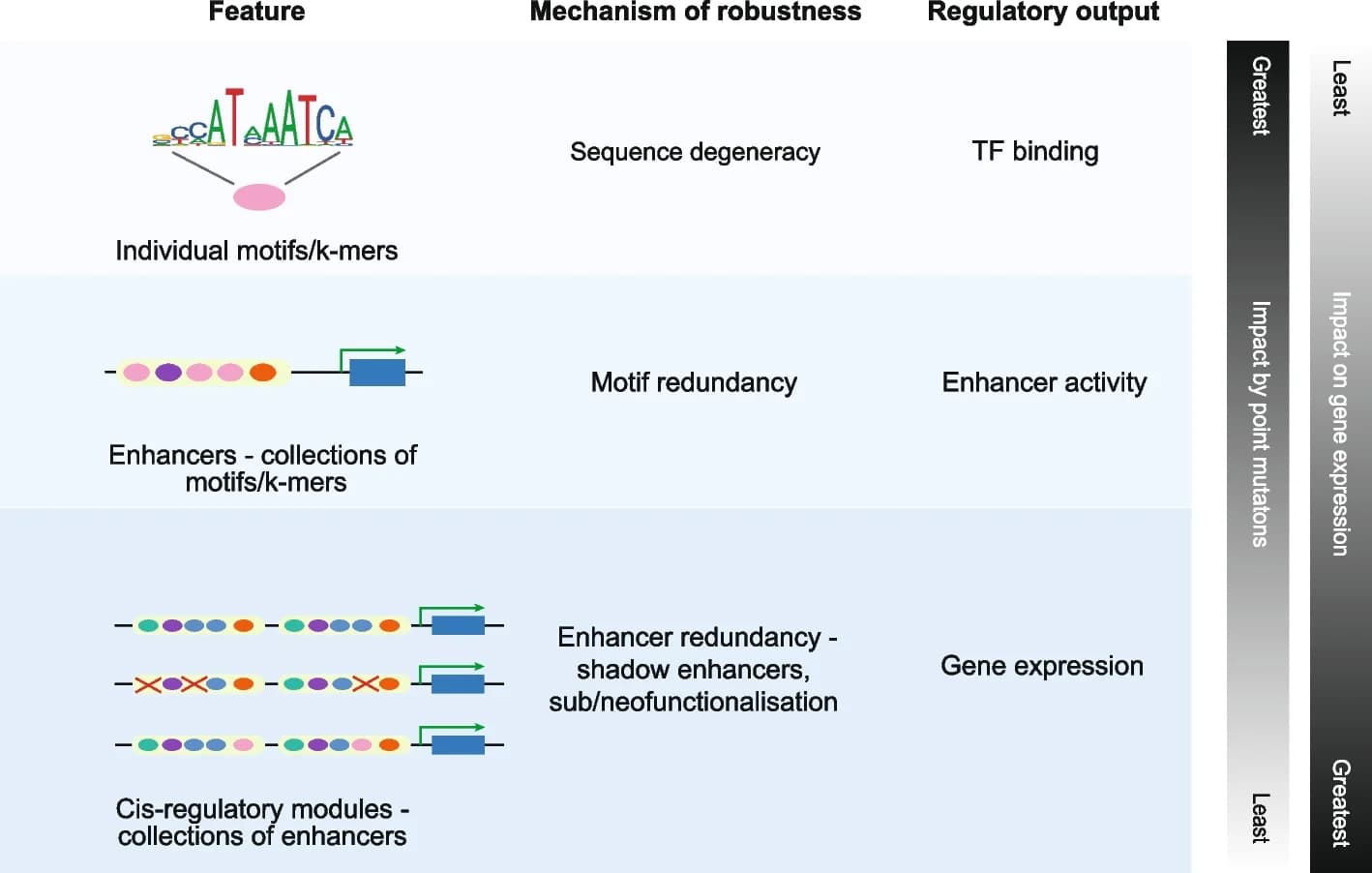 Open access visualization of Workflow, Illustration, TF Binding Motifs, Enhancers, Cis-Regulatory Module