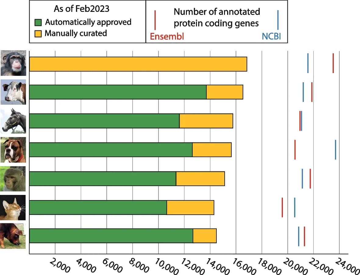 Open access visualization of Stacked Bar Plot, Bar Plot, Error Bars, Protein Coding Genes, VGNC Species