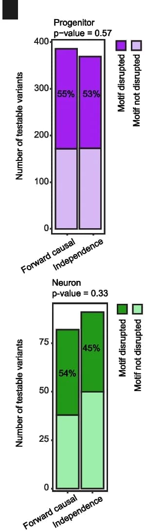 Open access visualization of Stacked Bar Plot, Variants, Allele-Specific Chromatin Accessibility, X-M-Y Triplets, Causal Forward Model