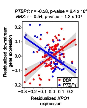 Open access visualization of Scatter Plot, Regression Plot, Correlation, XPO1, PTBP1