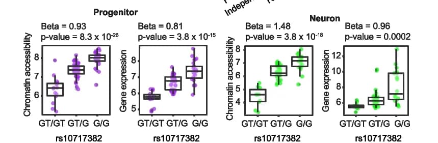 Open access visualization of Box Plot, Scatter Plot, Chromatin Accessibility, Gene Expression, Genotype