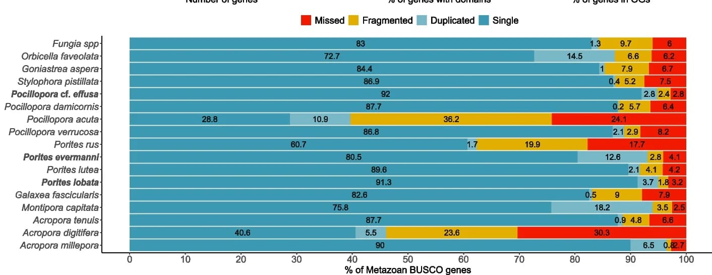 Open access visualization of Stacked Bar Plot, BUSCO Scores, Metazoan Gene Set, Complete Genes, Single-Copy Genes