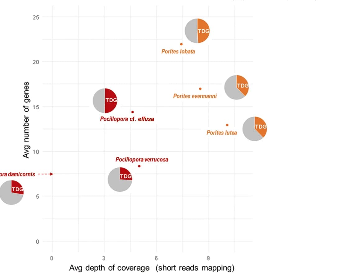 Open access visualization of Scatter Plot, Bubble Plot, Pie Chart, Gene families, Orthogroups