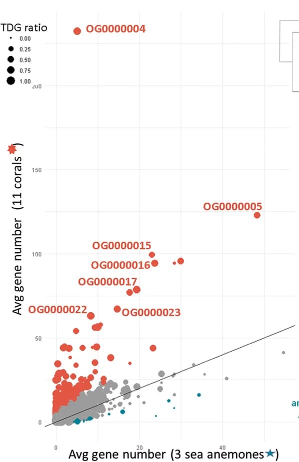 Open access visualization of Scatter Plot, Bubble Plot, Regression Plot, Gene Copies, Corals