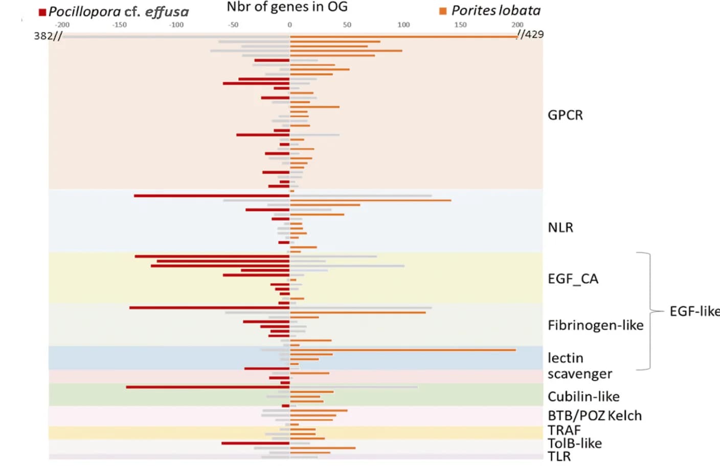 Open access visualization of Bar Plot, Gene Families, Porites lobata, Pocillopora cf. effusa, Functional Annotation