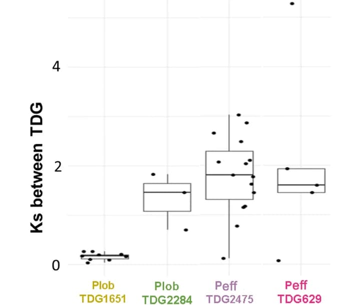 Open access visualization of Box Plot, Scatter Plot, TDG Clusters, Genes, Porites lobata