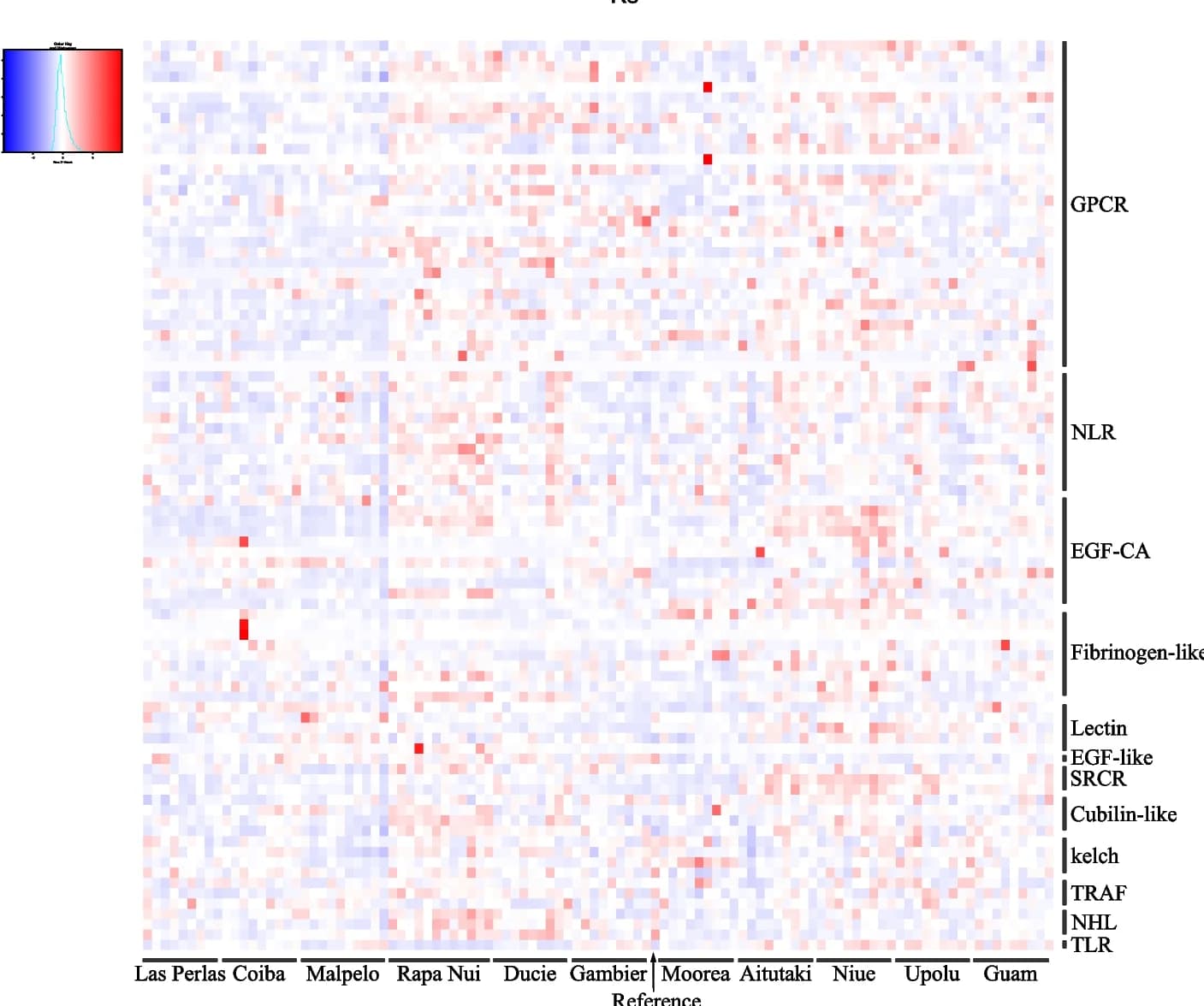 Open access visualization of Heatmap, Expression quantification, Amplified genes, Coral genomes, Samples