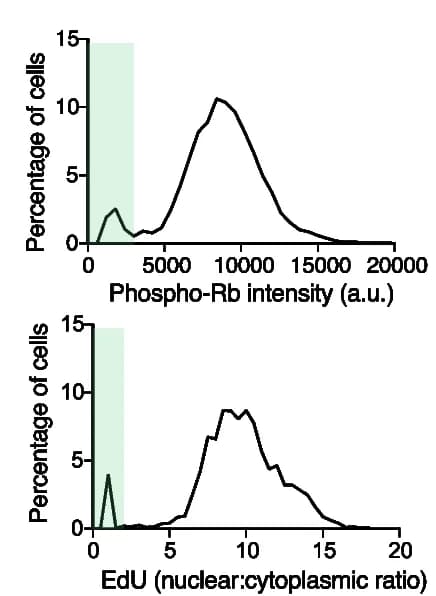 Open access visualization of Line Plot, Density Plot, Single-cell Quantification, Phospho-Rb, EdU