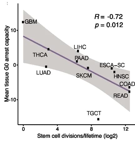Open access visualization of Scatter Plot, Regression Plot, G0 Arrest, Stem Cell Division, Tissue Types
