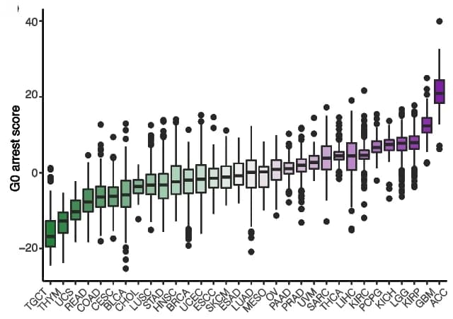 Open access visualization of Box Plot, Tumor, G0 Arrest, Stemness Index, Telomerase Activity