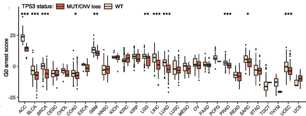Open access visualization of Box Plot, G0 Arrest, P53