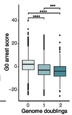 Open access visualization of Box Plot, G0 Arrest, Tumor, Whole-Genome Duplication, Wilcoxon Rank-Sum Test