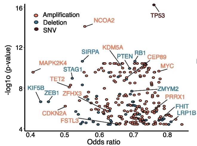 Open access visualization of Scatter Plot, Volcano Plot, Cancer Drivers, Mutations, Copy Number Alterations