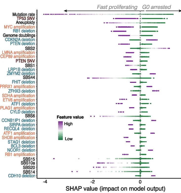 Open access visualization of Scatter Plot, Volcano Plot, Genomic Events, G0 Arrest, Tumor Sample
