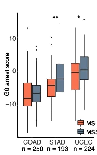 Open access visualization of Box Plot, G0 Arrest Levels, Microsatellite Unstable Samples, Stomach Adenocarcinoma, Uterine Corpus Endometrial Carcinoma
