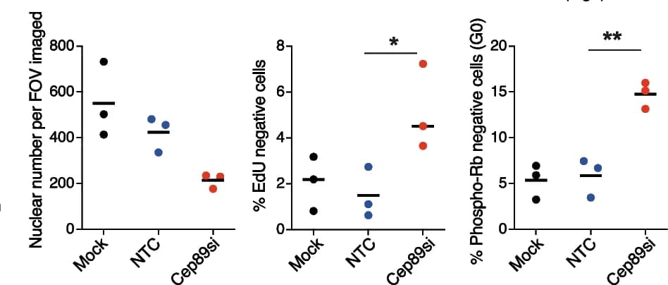 Open access visualization of Scatter Plot, Error Bars, Cep89 Depletion, NCI-H1299 Cells, Nuclear Number