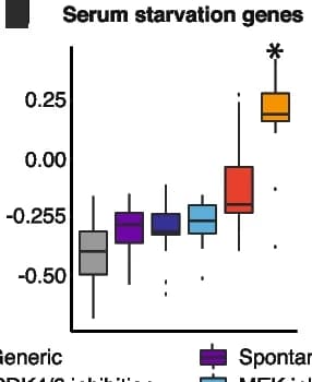 Open access visualization of Box Plot, Correlation coefficients, Stress response programme, CDK4, CDK6