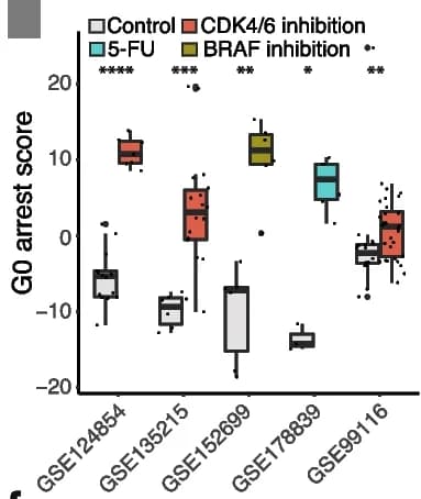 Open access visualization of Box Plot, Scatter Plot, Disease-Specific Survival, Proliferation, G0 Arrest