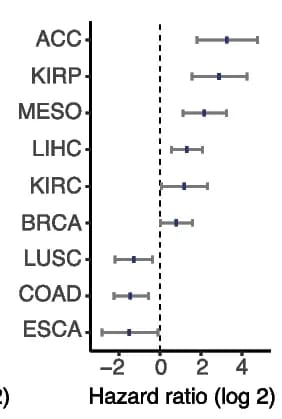 Open access visualization of Error Bars, Bar Plot, Hazard Ratio, Tissues, Patient Prognosis