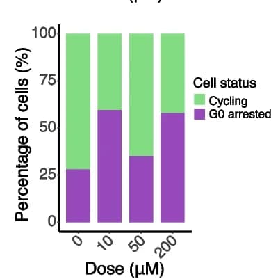 Open access visualization of Stacked Bar Plot, UMAP Plot, TP53-Deficient SW480, Colorectal Cancer Cell Line, 5-FU