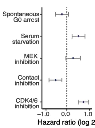 Open access visualization of Forest Plot, UMAP Plot, PC9 NSCLC Cells, EGFR Inhibitor, Erlotinib