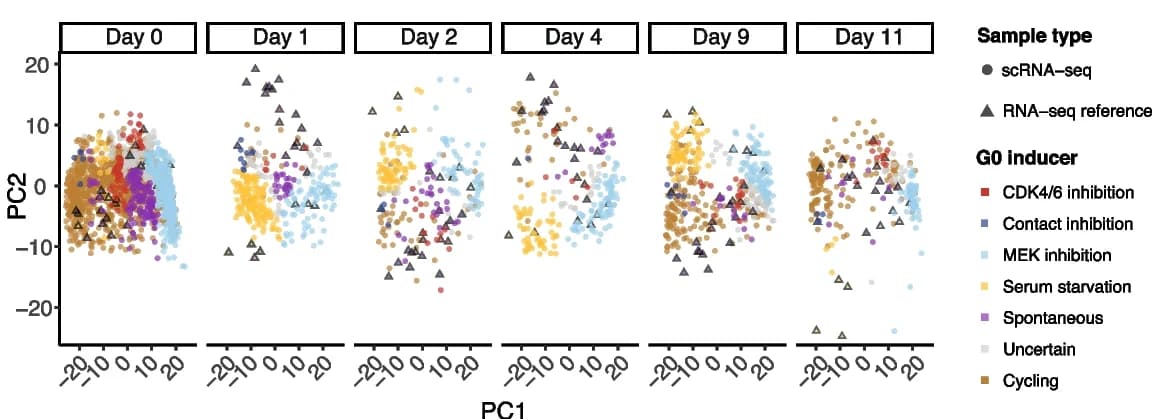 Open access visualization of Scatter Plot, PCA, Principal Component Analysis, Single-Cell RNA-seq, G0 Arrest