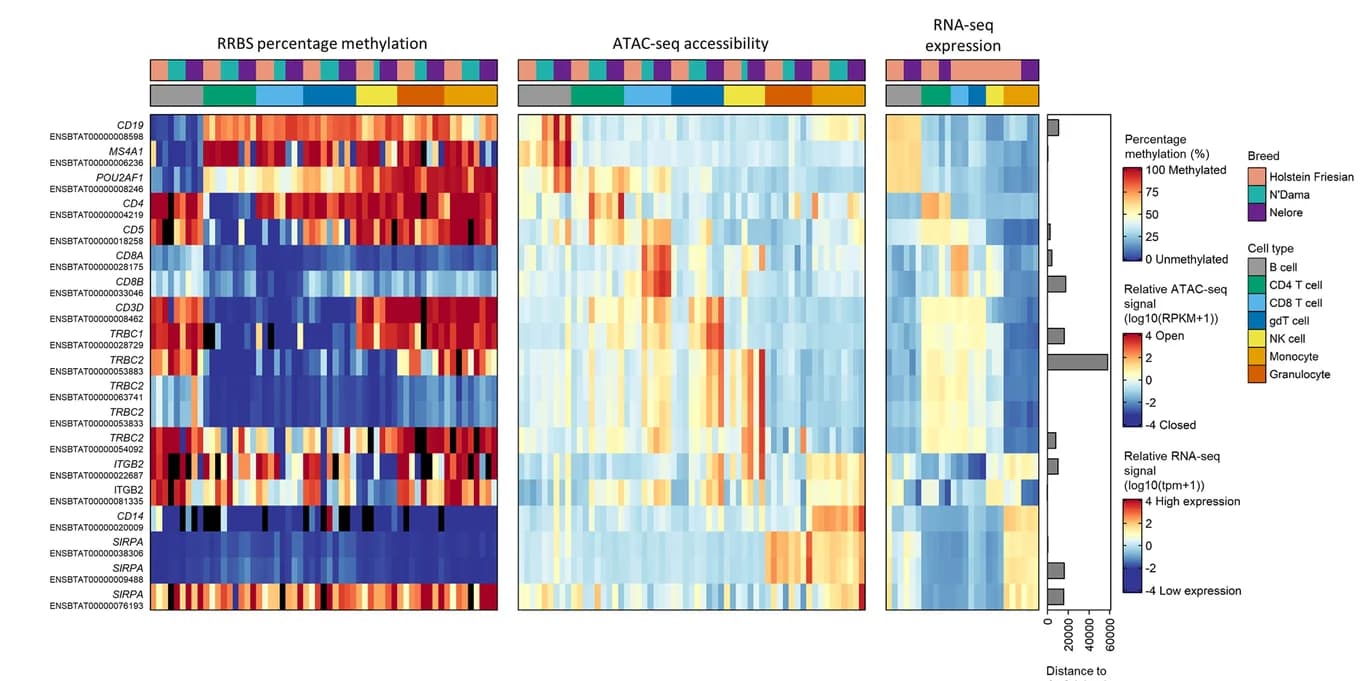 Open access visualization of Heatmap, Bar Plot, Methylation, Chromatin accessibility, Gene expression