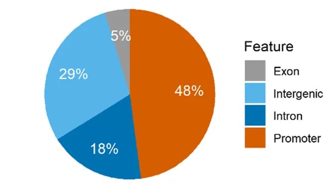 Open access visualization of Pie Chart, PCA, CpG Sites, Methylation