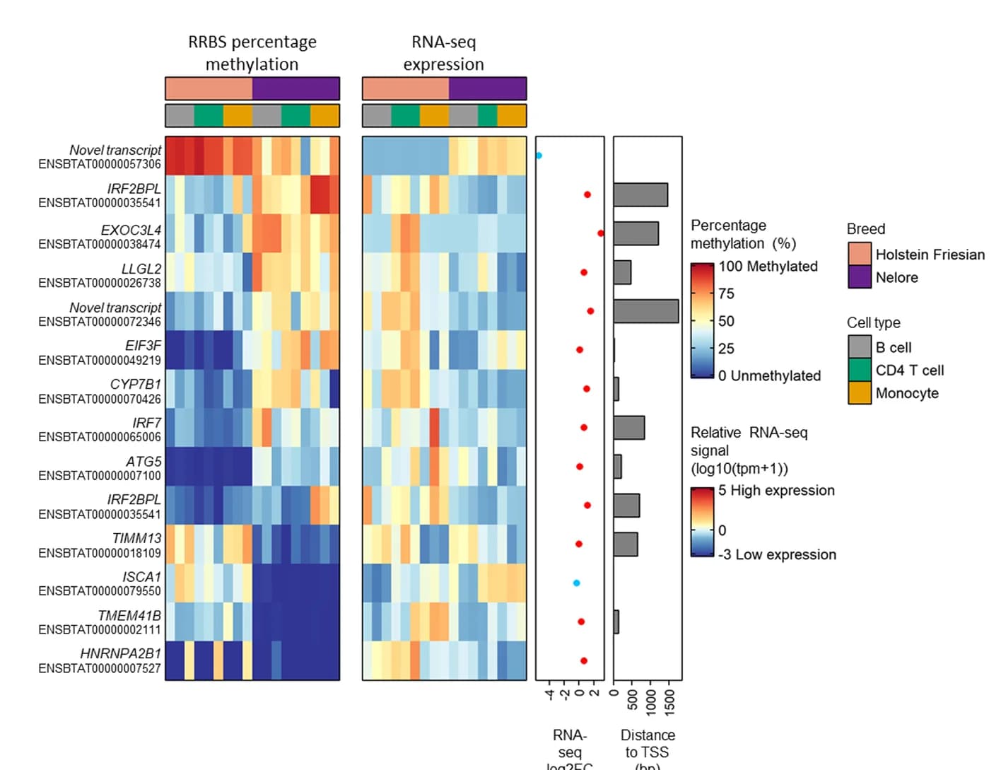 Open access visualization of Heatmap, Bar Plot, Scatter Plot, CGIs, Holstein Friesian