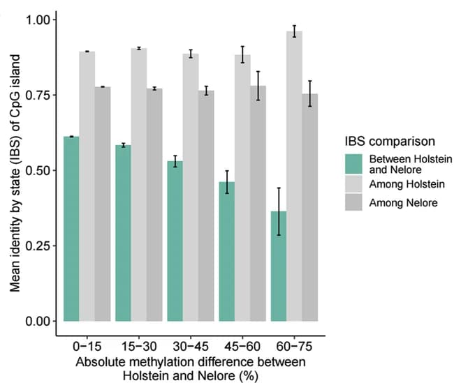 Open access visualization of Bar Plot, Error Bars, Clustered, Identity by State, Methylation Divergence