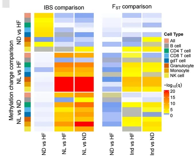 Open access visualization of Heatmap, IBS, F ST Scores, Methylation Divergence, Cell Types