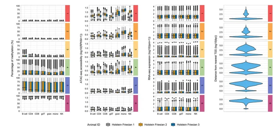 Open access visualization of Violin Plot, Box Plot, CGIs, Methylation, ATAC-seq