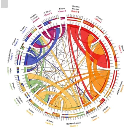 Open access visualization of Chord, Bar Plot, Circos Plot, CGI Overlap, Breed Pairs