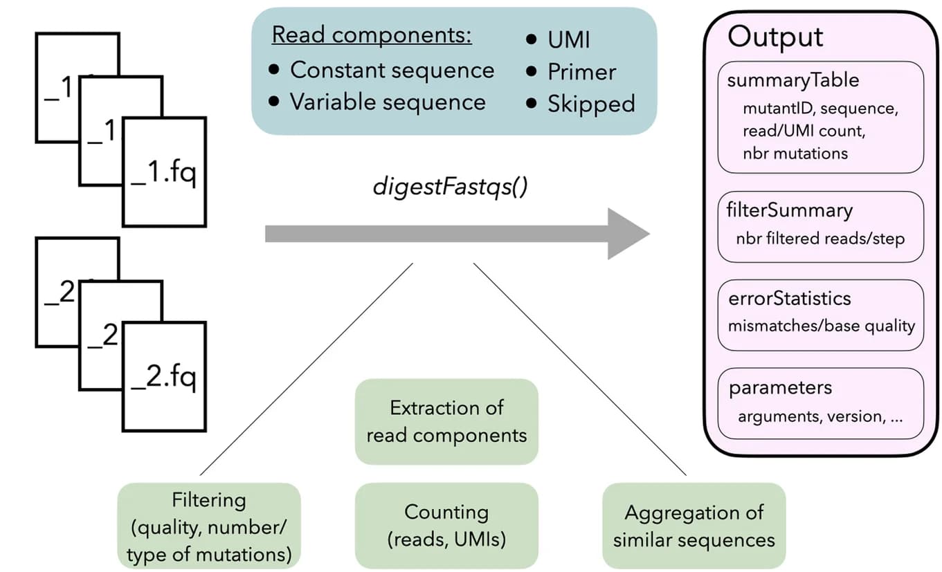 Open access visualization of Workflow, Flowchart, Illustration, DigestFastqs() function, FASTQ files