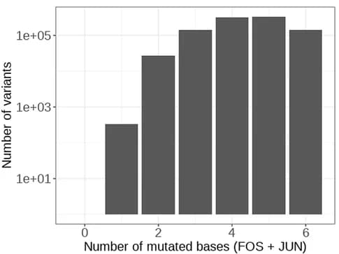 Open access visualization of Bar Plot, Variants, Mutated Bases
