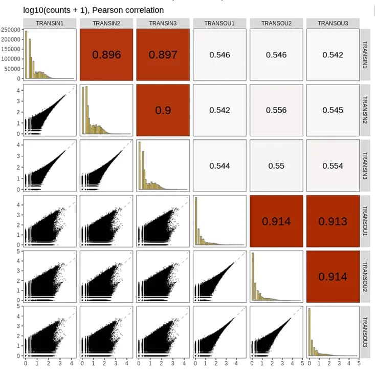 Open access visualization of Scatter Plot, Histogram, Heatmap, Pairs Plot, Concordance