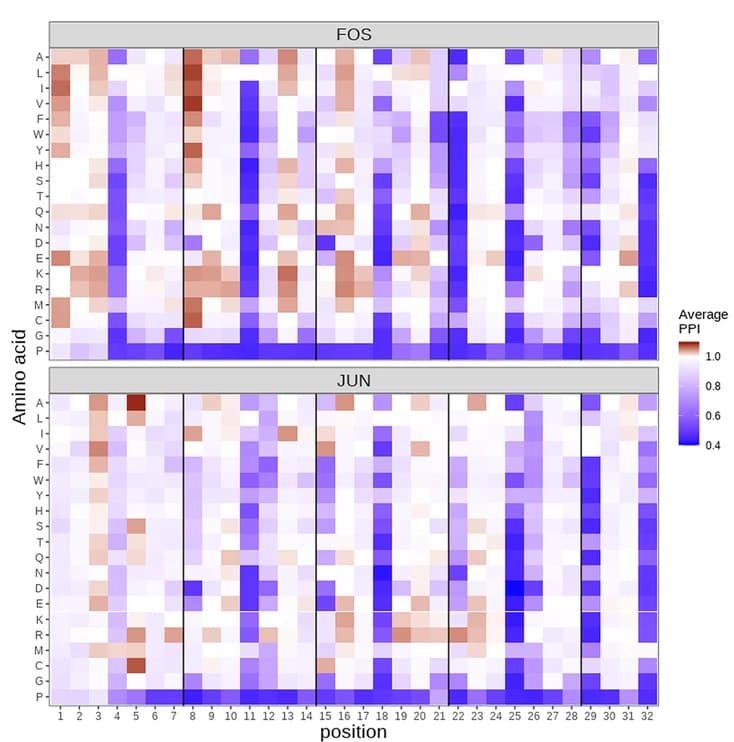 Open access visualization of Heatmap, Protein-Protein Interaction, Amino Acid Variants